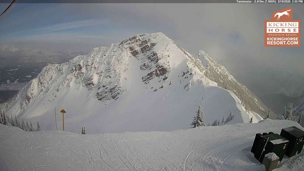 Kicking Horse - Terminator