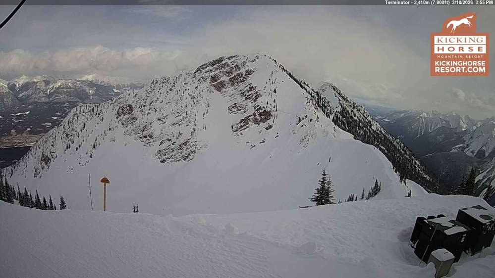 Kicking Horse - Terminator