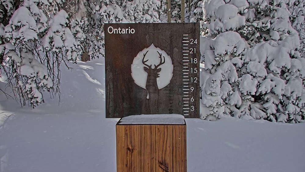 Ontario Snow Stake 