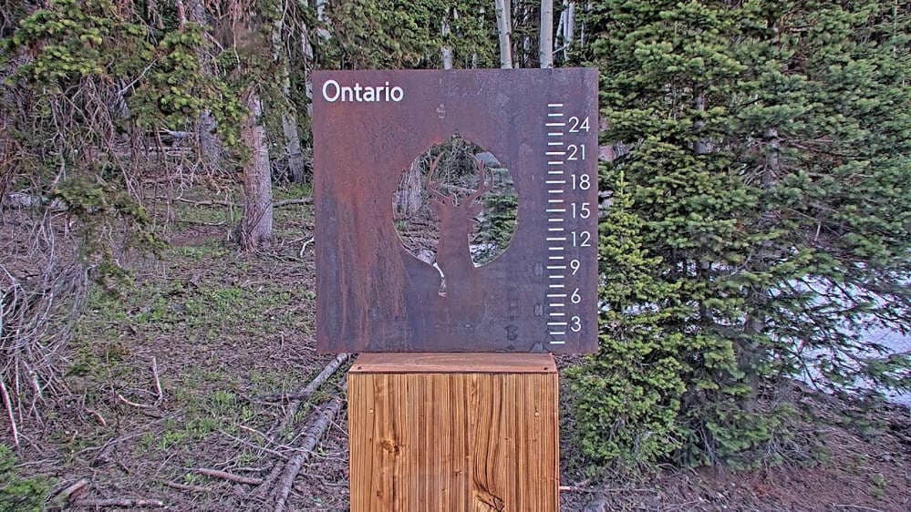Ontario Snow Stake 