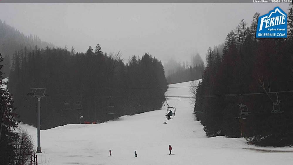 Fernie: Lizard View from Great Bear