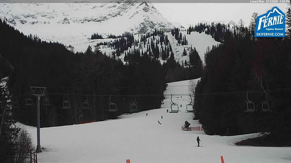 Fernie: Lizard View from Great Bear