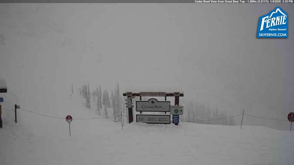 Fernie: Cedar Bowl View from Great Bear