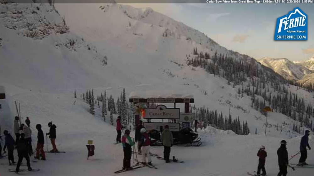 Fernie: Cedar Bowl View from Great Bear