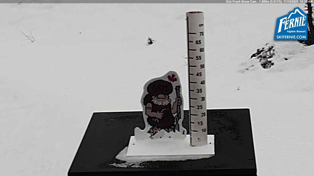 Fernie: Griz Fresh Snow Cam