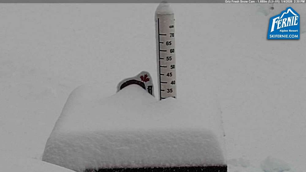 Fernie: Griz Fresh Snow Cam