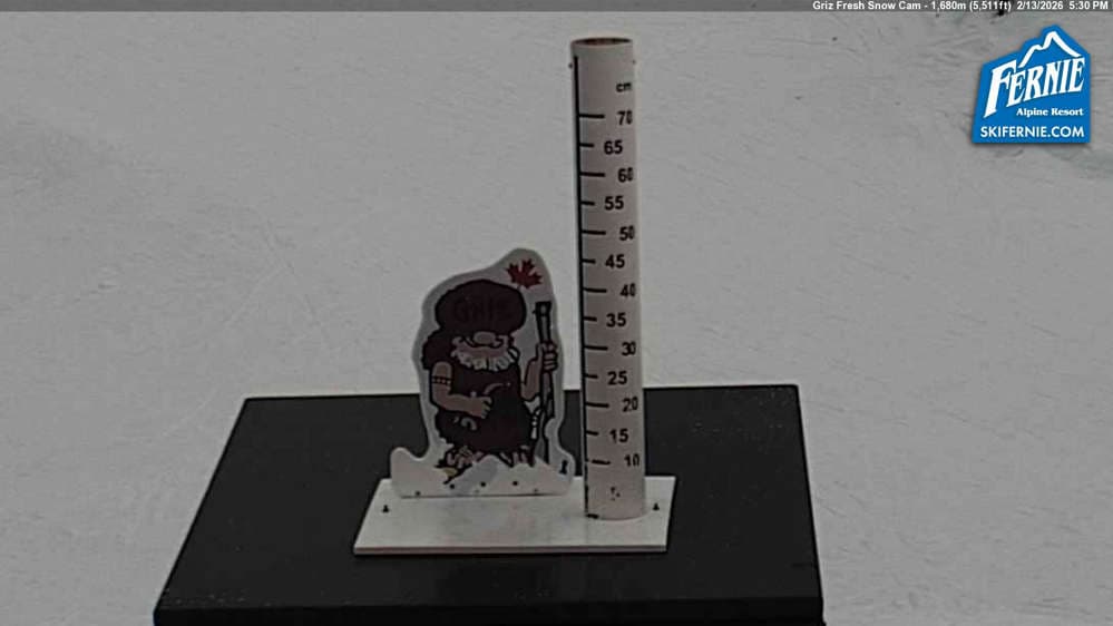 Fernie: Griz Fresh Snow Cam