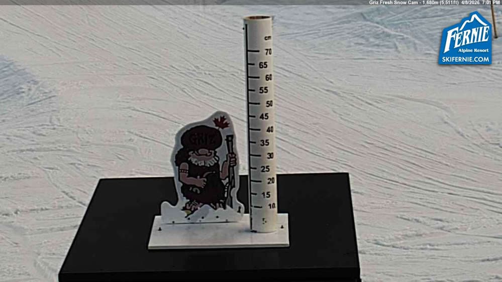 Fernie: Griz Fresh Snow Cam