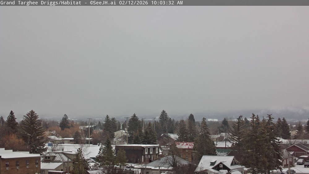 Grand Targhee Resort - Habitat / Colter