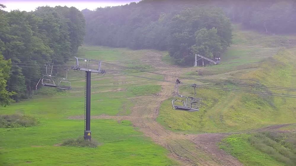 Bear Cam