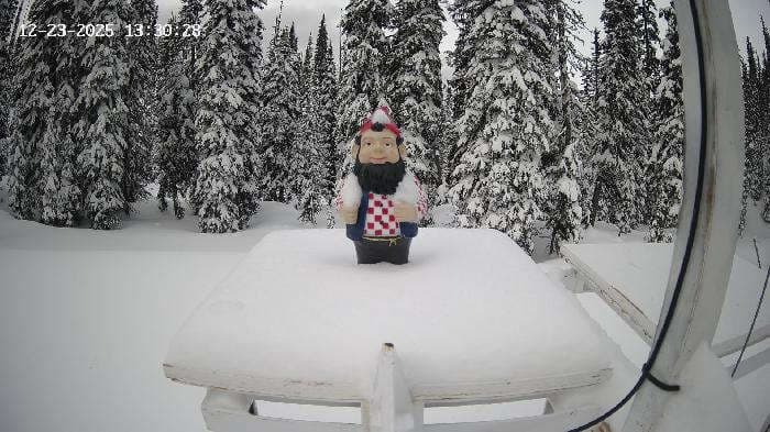 Revelstoke: Gnorm the Powder Gnome
