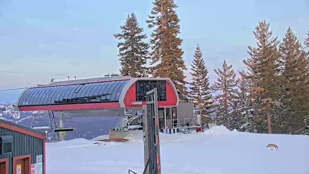 Northstar Mt. Pluto Summit