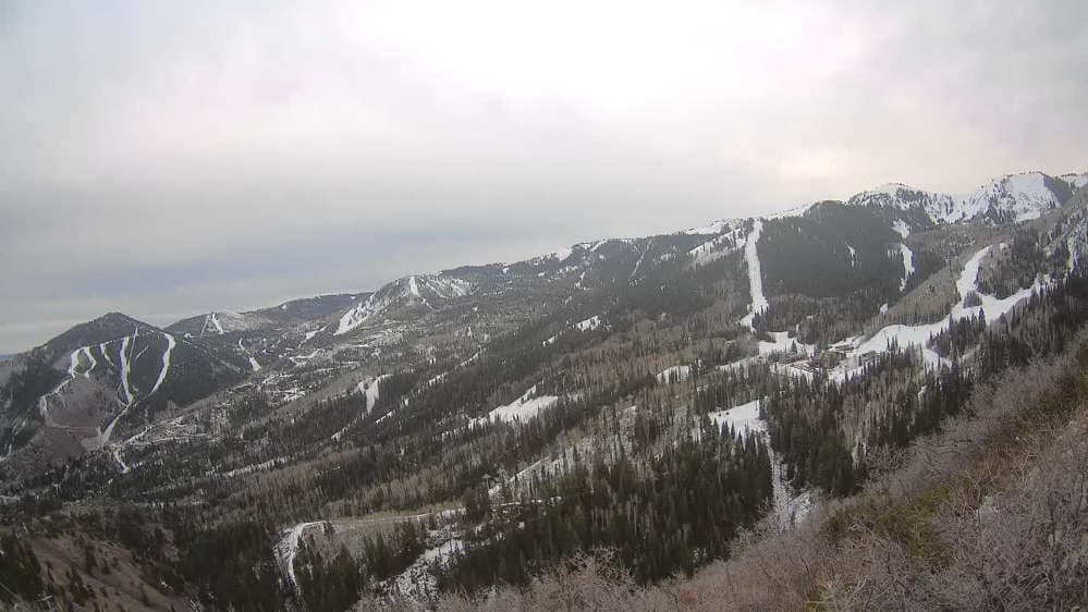 Lookout Cabin Camera