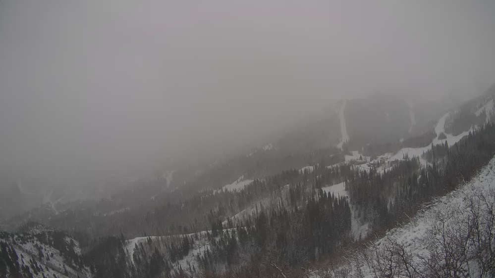 Lookout Cabin Camera