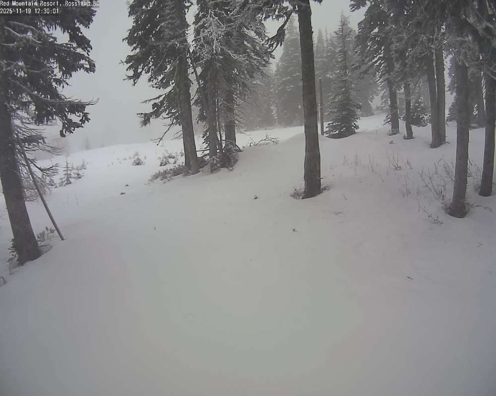 Red Resort - Rosario Snow Cam