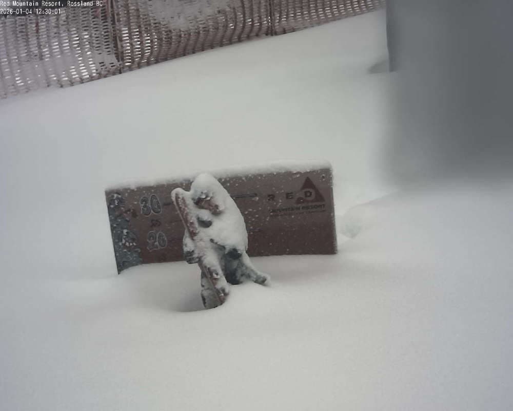 Red Resort - Rosario Snow Cam