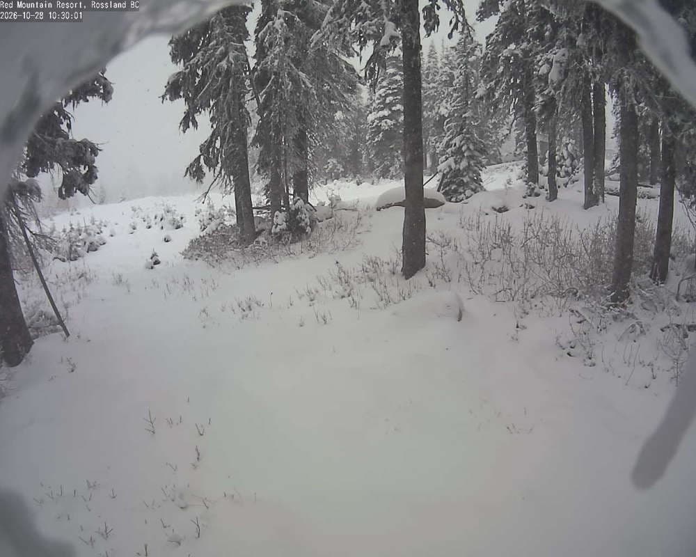 Red Resort - Rosario Snow Cam