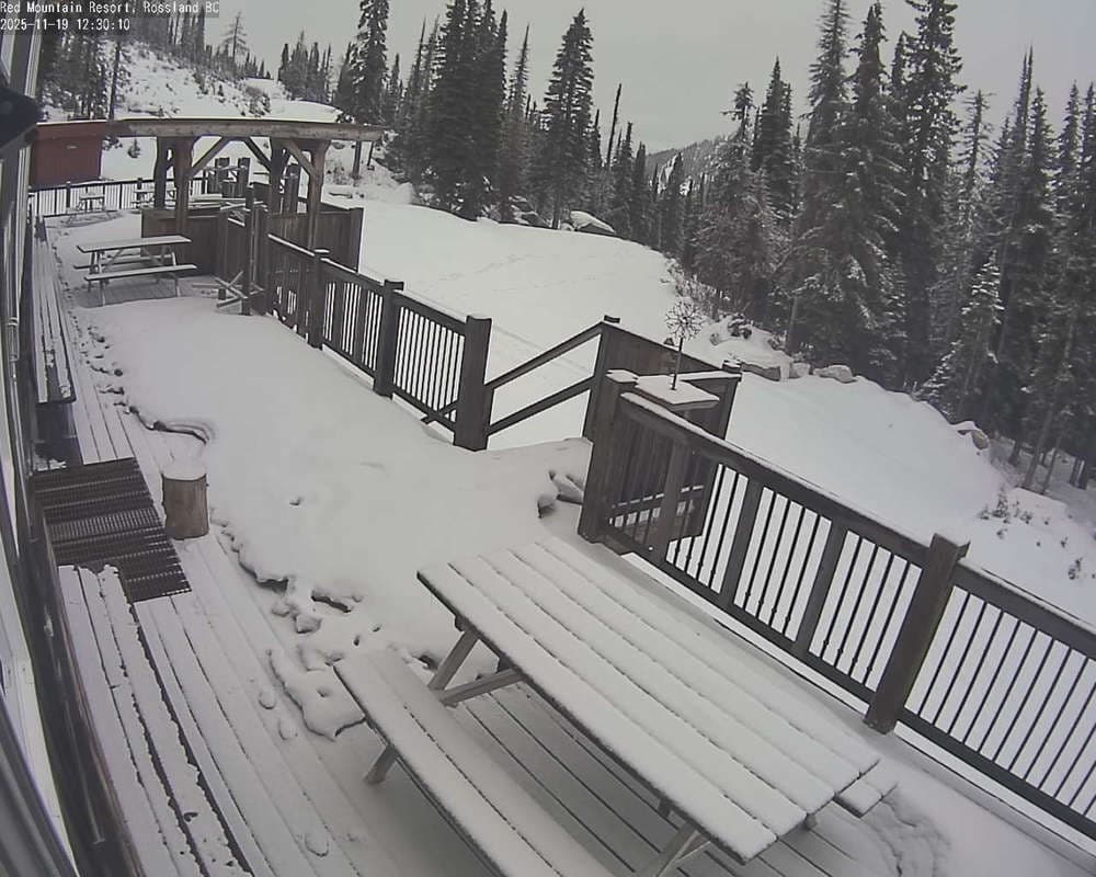 Red Resort - Paradise Lodge Deck Cam
