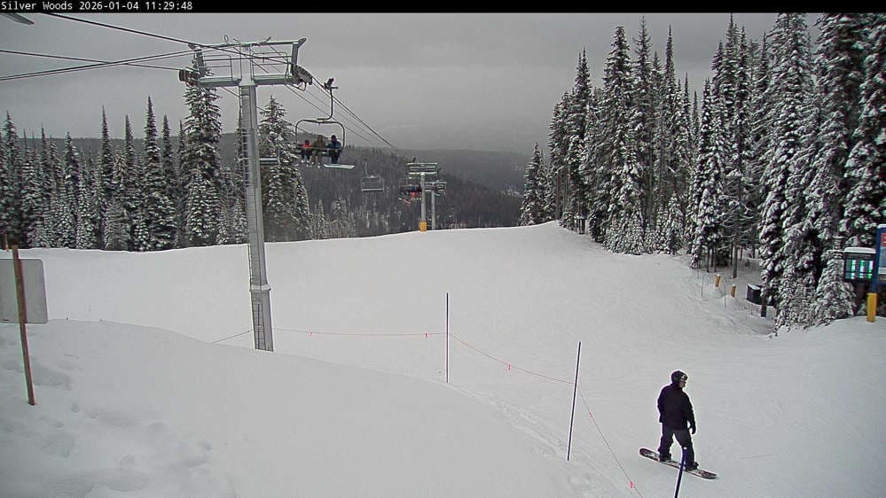 Silver Star Top of Silver Woods Webcam
