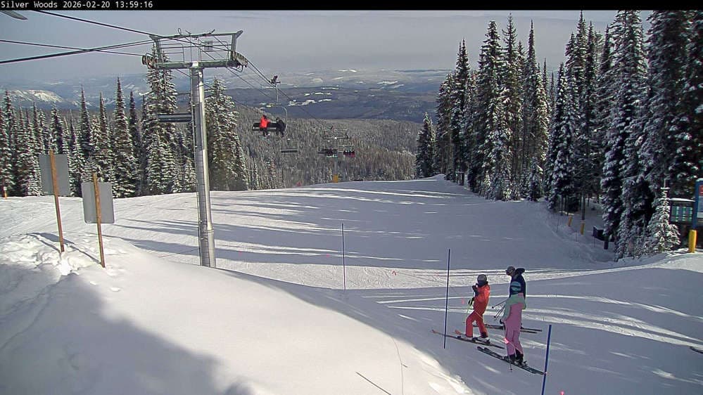 Silver Star Top of Silver Woods Webcam