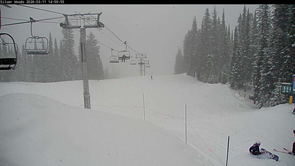 Silver Star Top of Silver Woods Webcam