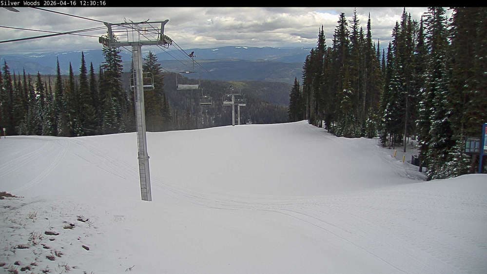 Silver Star Top of Silver Woods Webcam