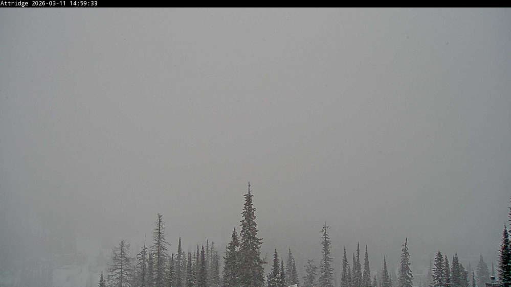 Silver Star Alpine Meadows Webcam