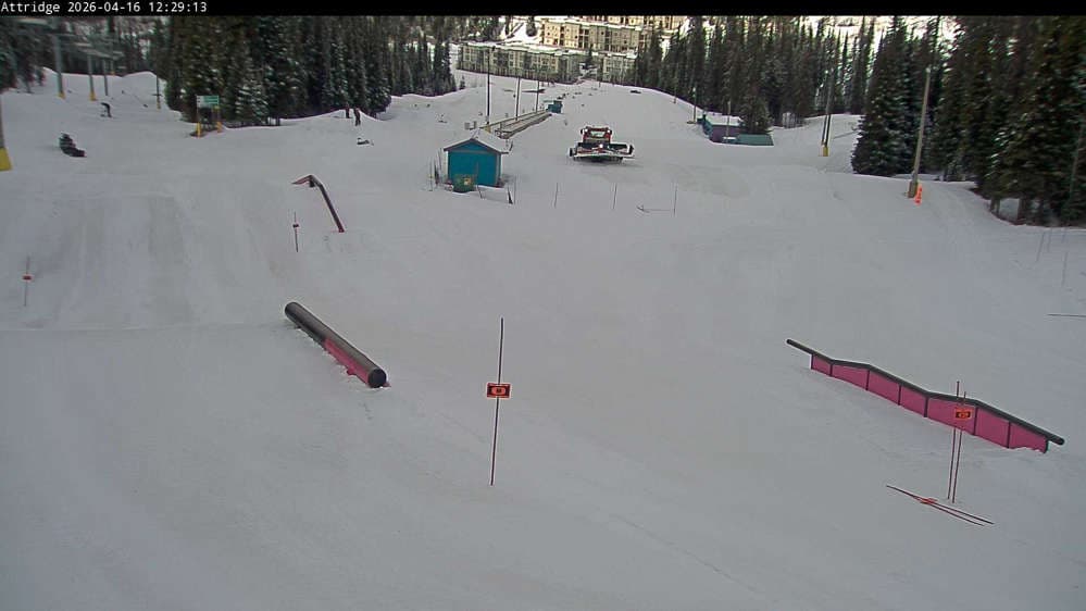 Silver Star Alpine Meadows Webcam