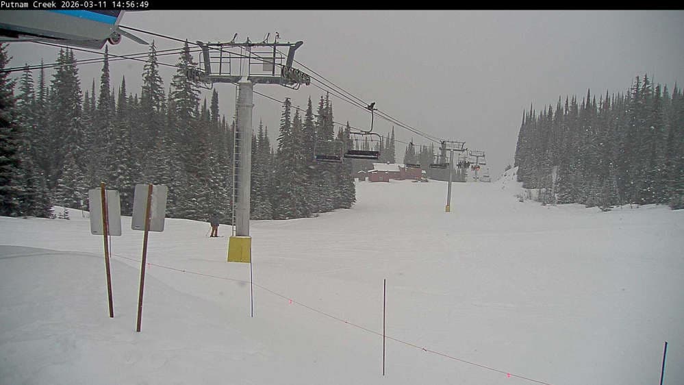 Silver Star Powder Gulch Webcam