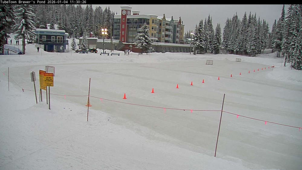 Silver Star Brewer's Pond Webcam