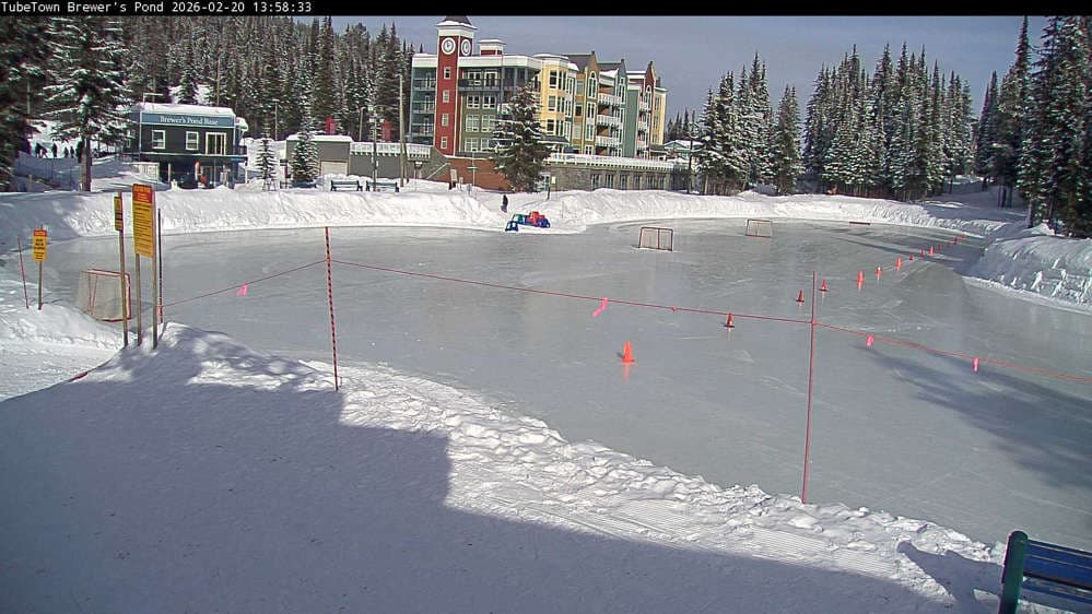 Silver Star Brewer's Pond Webcam