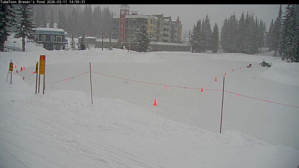 Silver Star Brewer's Pond Webcam