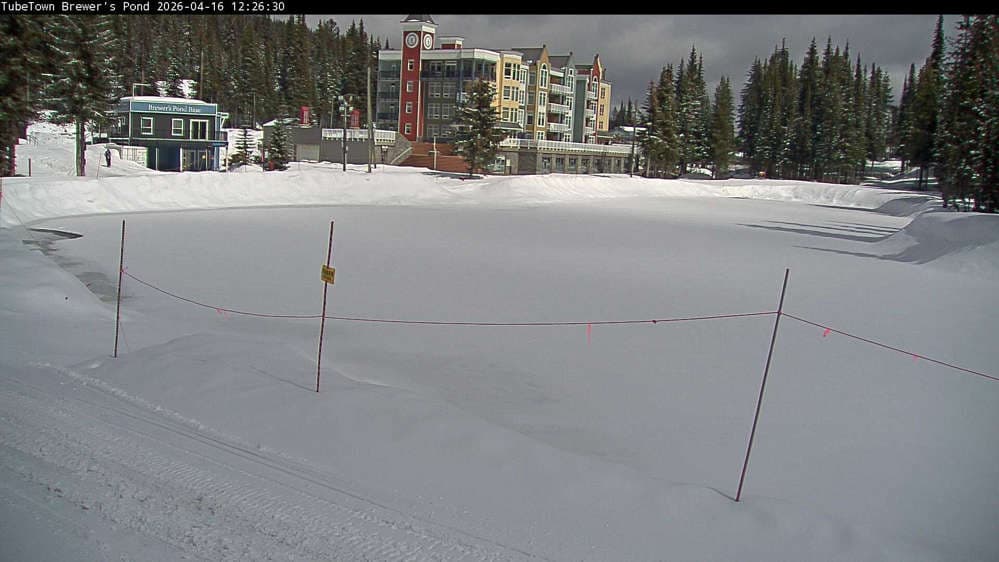 Silver Star Brewer's Pond Webcam