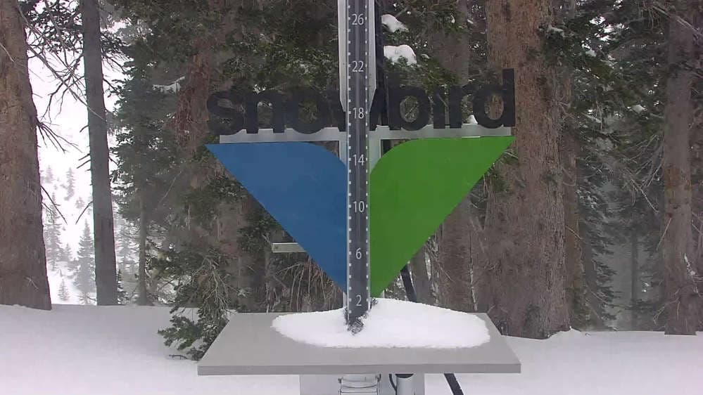 Snowbird - Snowstake