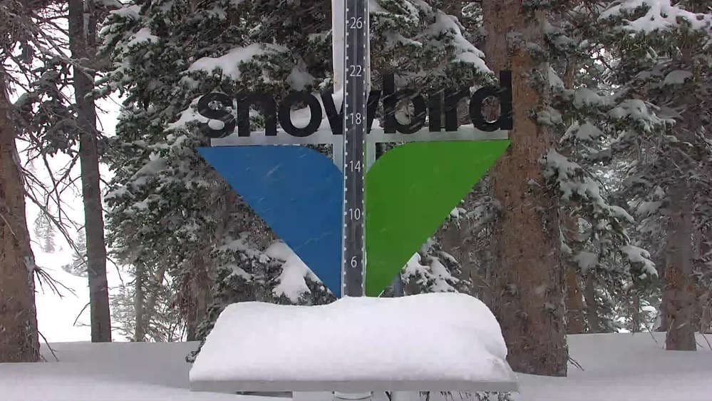 Snowbird - Snowstake