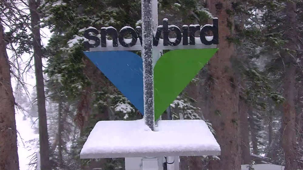Snowbird - Snowstake