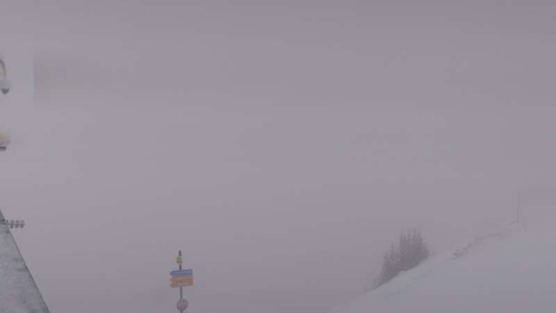 Powder Paradise Webcam