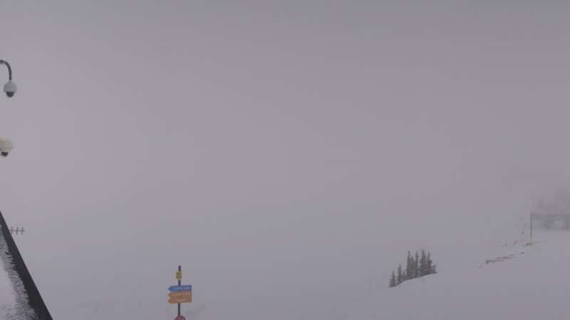 Powder Paradise Webcam