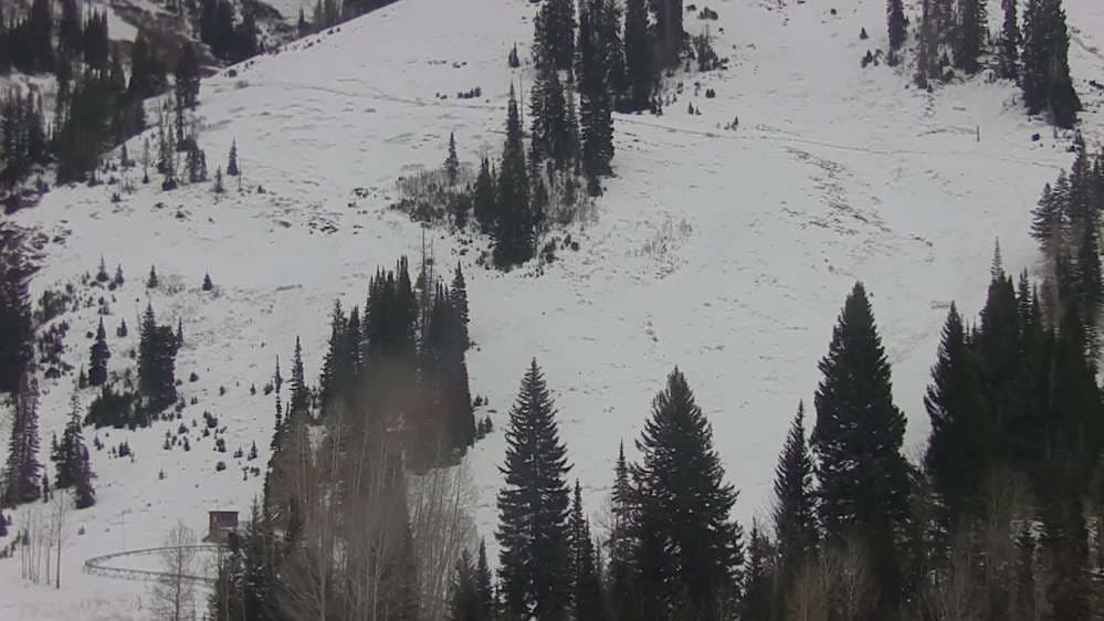 Snowbird - Peruvian Gulch