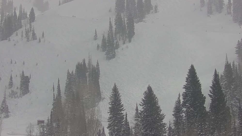 Snowbird - Peruvian Gulch