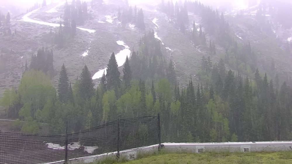 Snowbird - Peruvian Gulch
