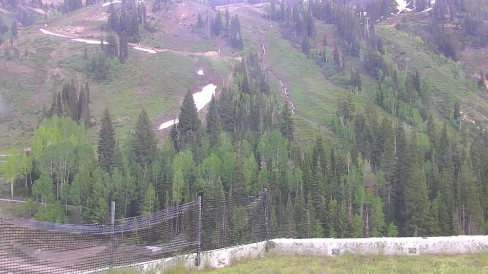 Snowbird - Peruvian Gulch