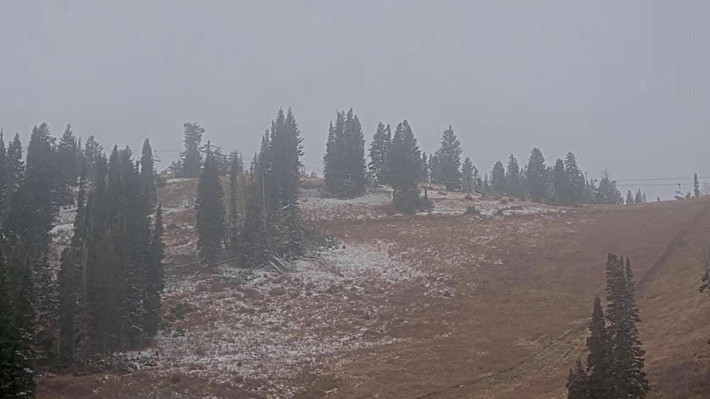 Solitude: Sunshine Bowl Cam