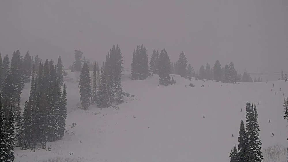 Solitude: Sunshine Bowl Cam
