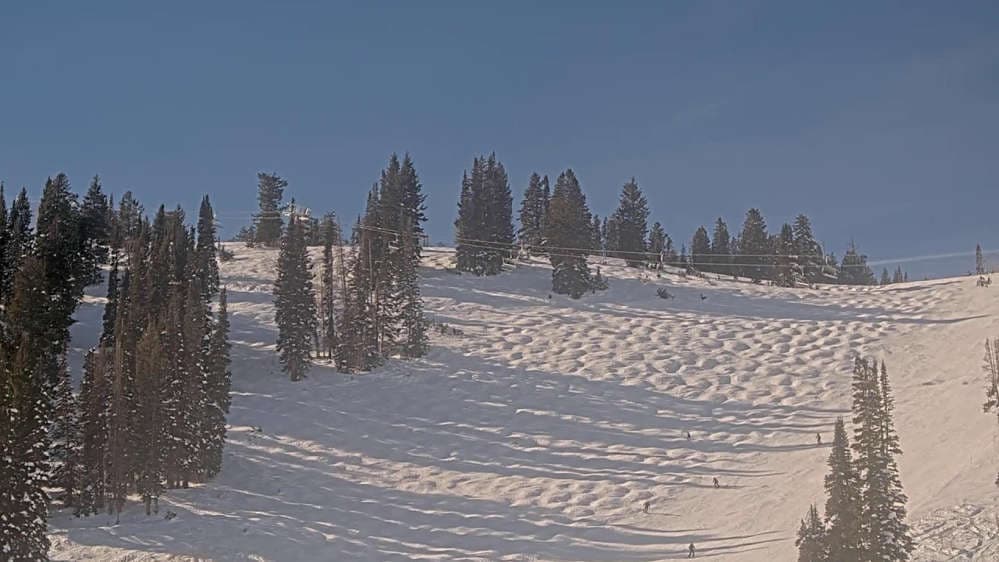 Solitude: Sunshine Bowl Cam