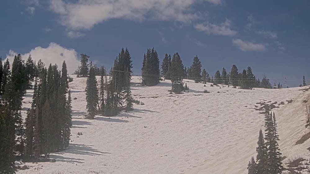 Solitude: Sunshine Bowl Cam