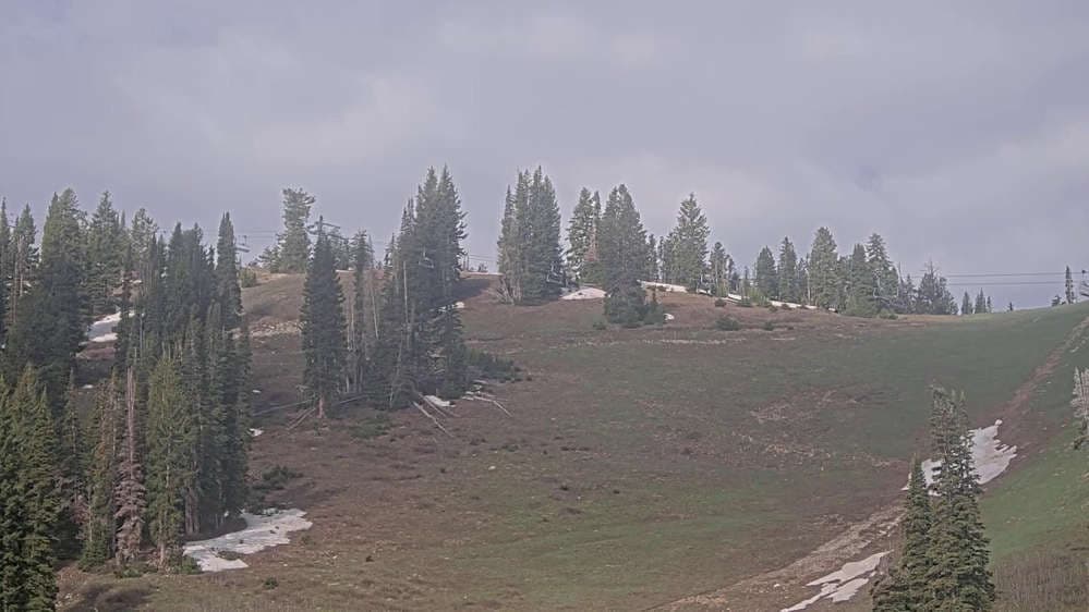 Solitude: Sunshine Bowl Cam