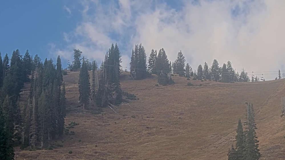 Solitude: Sunshine Bowl Cam