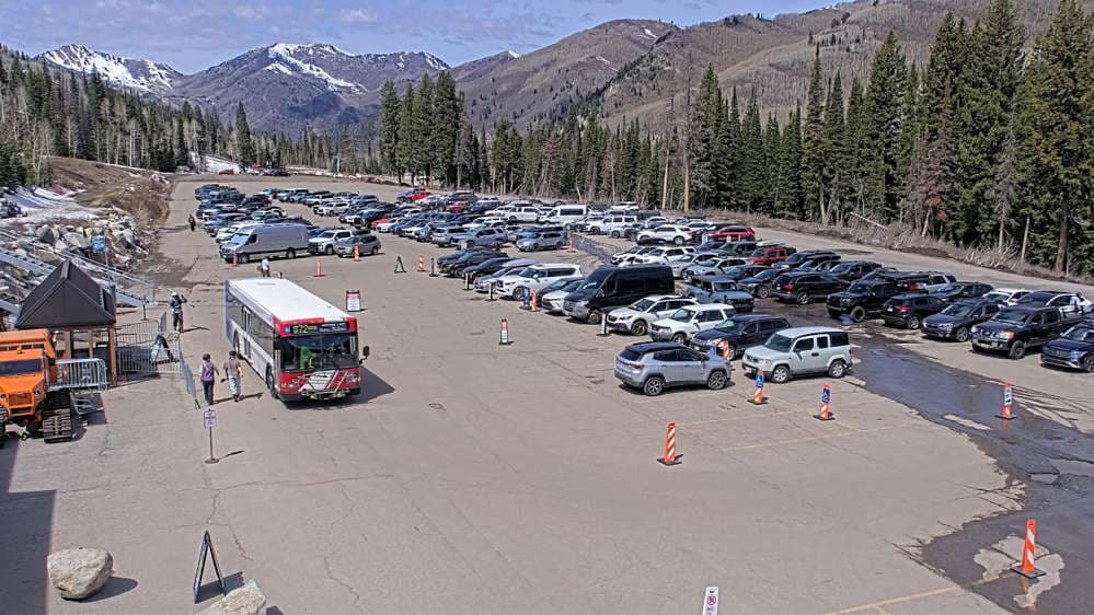 Solitude: Moonbeam Parking Lot Cam