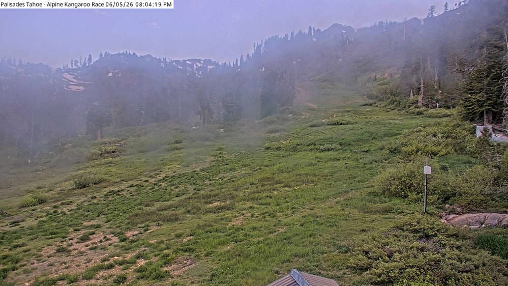 Alpine Race Cam